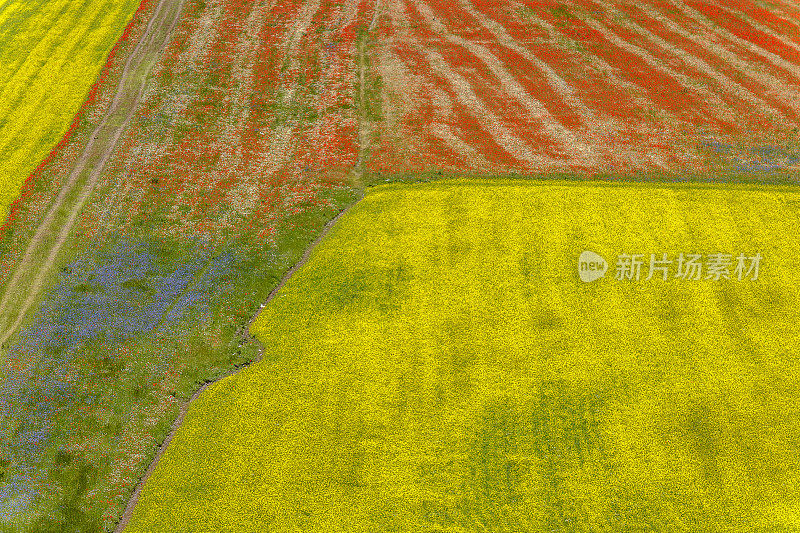 Piano Grande di Castelluccio(意大利)，绿色山丘上的村庄